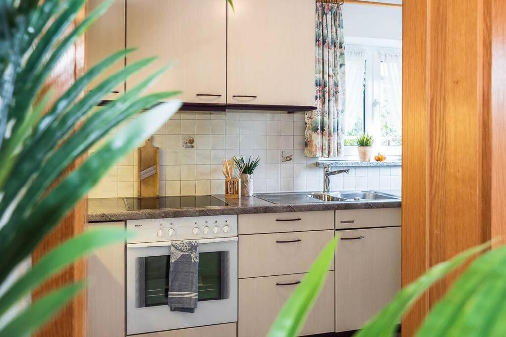 Ferienwohnung Julija Riedheim Hilzingen Extérieur photo